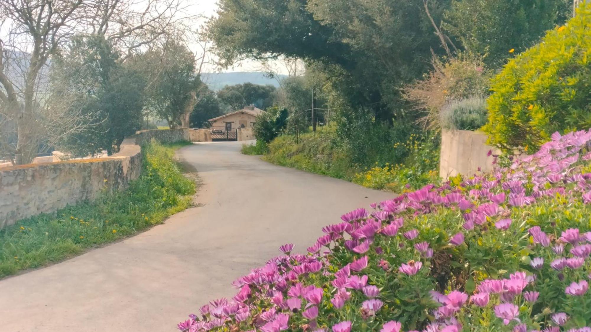 La Quinta Luxury Palace Arnuero Zewnętrze zdjęcie